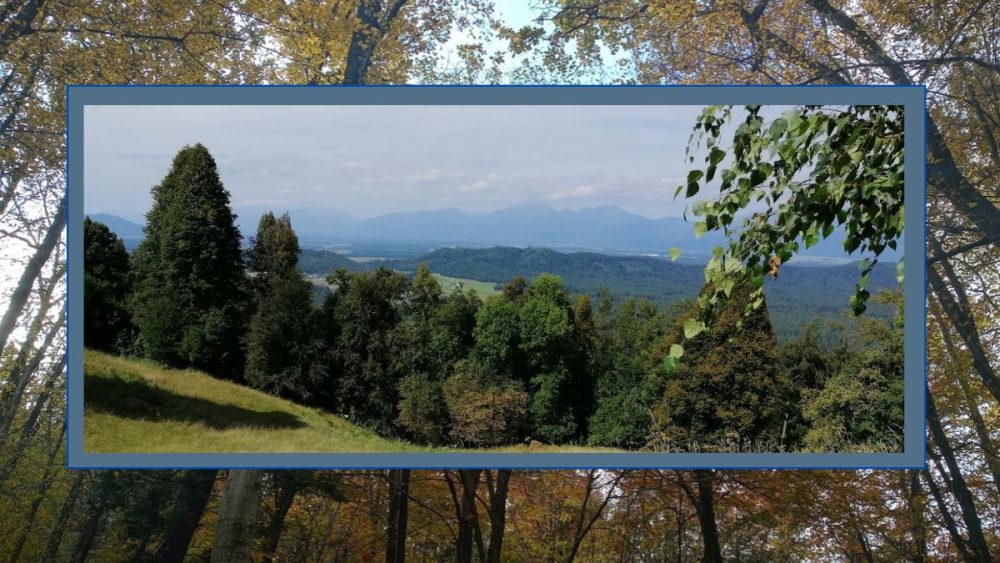 Narava in njena zdravilna moč